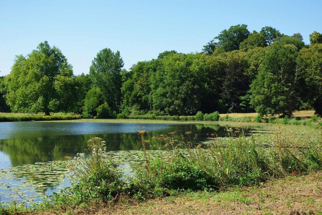 Chateau De Cheronne Bed & Breakfast Tuffe Bagian luar foto