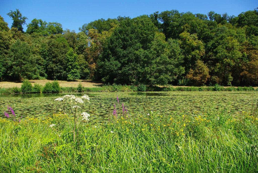 Chateau De Cheronne Bed & Breakfast Tuffe Bagian luar foto